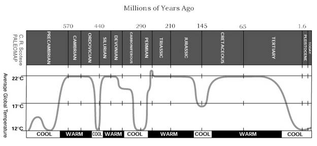 chart5