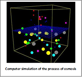 compsim